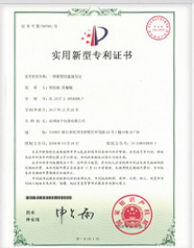 Patent